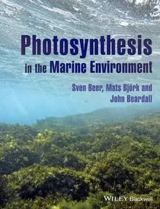 Photosynthesis in the Marine Environment