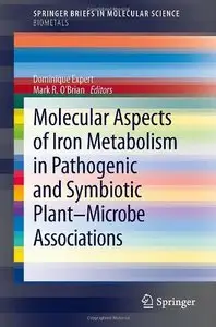 Molecular Aspects of Iron Metabolism in Pathogenic and Symbiotic Plant-Microbe Associations