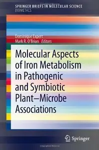Molecular Aspects of Iron Metabolism in Pathogenic and Symbiotic Plant-Microbe Associations (Repost)