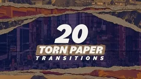 Paper Transitions 46175122