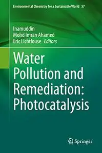 Water Pollution and Remediation: Photocatalysis