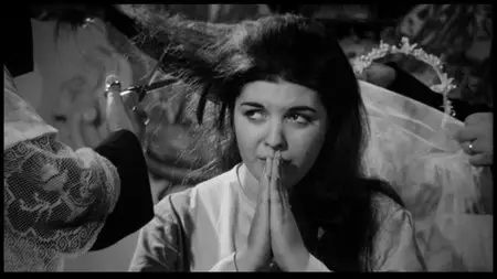Seduced and Abandoned (1964) [The Criterion Collection #350] [Re-UP]