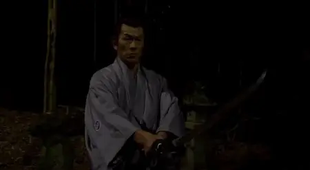 Geisha Assassin (2009)