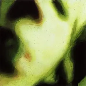 Smashing Pumpkins - Pisces Iscariot (1994) [2CD+DVD] {2012 Virgin Deluxe Edition}