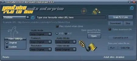 Portable YouTube FLV to AVI Suite Enterprise 2.3.3