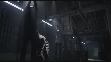 30 Days of Night: Dark Days (2010)