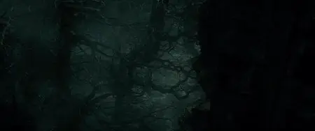 The Hobbit: The Desolation of Smaug/Le Hobbit: La désolation de Smaug (2013)