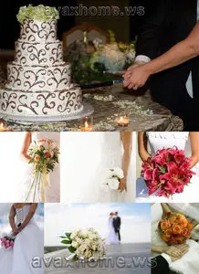 Brides