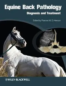 Equine Back Pathology: Diagnosis and Treatment (repost)