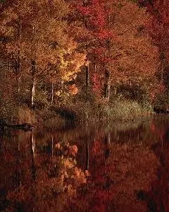 Super Widescreen Nature HQ Wallpapers Collection episode(13)