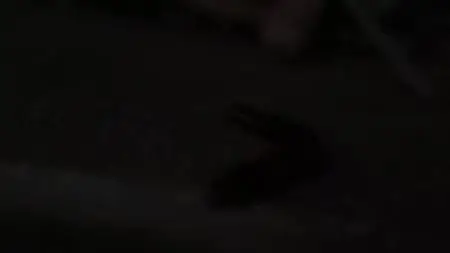 Extinct or Alive S02E03
