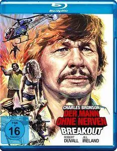 Breakout (1975)