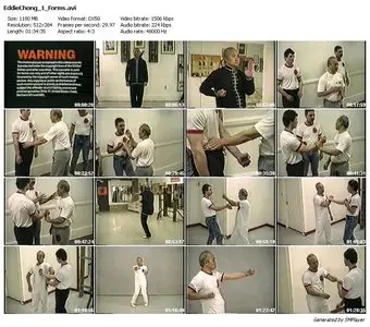 Eddie Chong Wing Chun Interactive Collection (2 CD + 3 DVD)