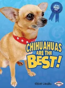 Chihuahuas Are the Best! (The Best Dogs Ever) (repost)