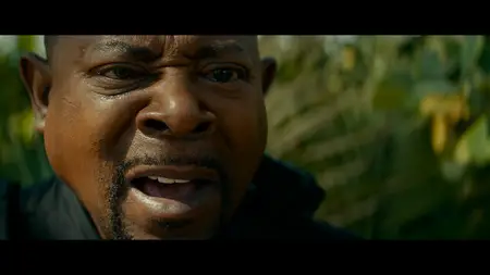 Bad Boys: Ride or Die (2024) [4K, Ultra HD]