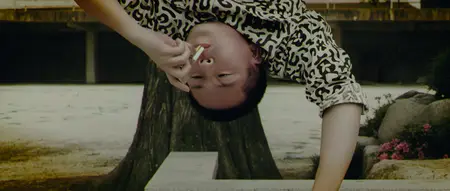 Oldboy (2003) [Dual Audio]