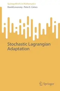 Stochastic Lagrangian Adaptation