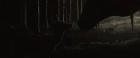 Bambi: The Reckoning (2025)