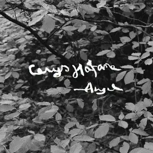 Cerys Hafana - Angel (2025) [Official Digital Download 24/48]