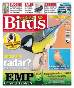 Cage & Aviary Birds - 3 January 2025