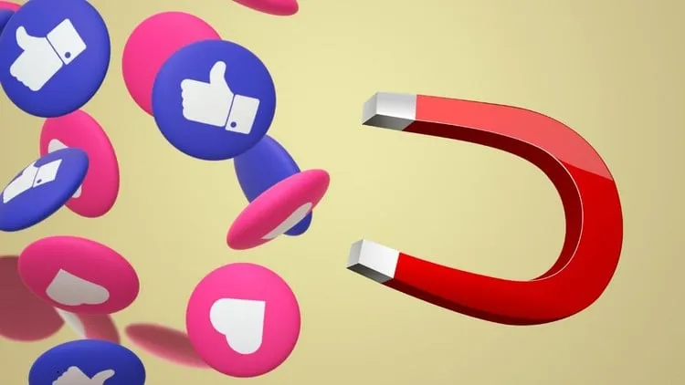 Facebook Penny Likes