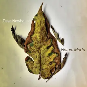 Dave Newhouse - Natura Morta (2024) [Official Digital Download]