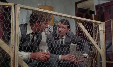 Ring of Bright Water (1969)