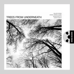 Balázs Rodek - Trees From Underneath (2024) [Official Digital Download 24/96]