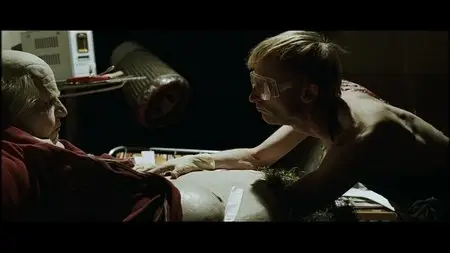 Taxidermia (2006)