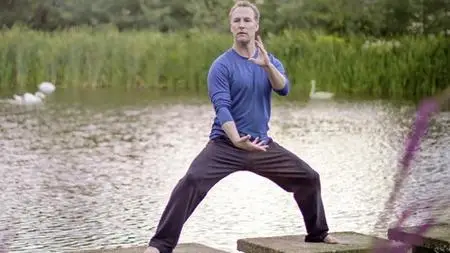 Qi Gong for Depression & Emotional Balance w Lee Holden 2021