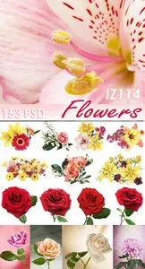 IZ114 Flowers 3