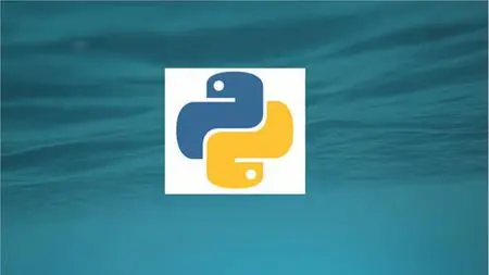 Master Python Basics (For Developer)