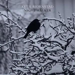 Ketil Bjørnstad - Nightwalker (2023)
