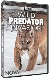 PBS - NOVA: Wild Predator Invasion (2013)