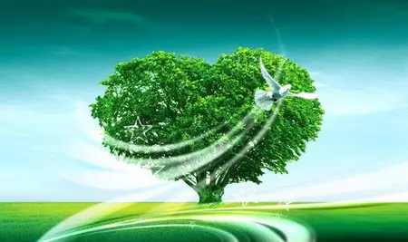 Heart shaped tree