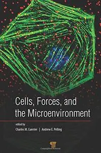 Cells, Forces, and the Microenvironment