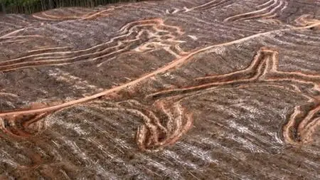 Uprooted: The Olympic Tribe (2021)