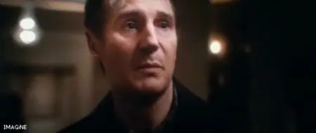 Unknown (2011)
