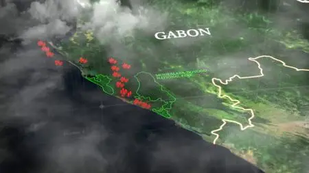 Gorillas of Gabon (2019)