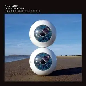 Pink Floyd - Pulse [Multichannel] (2019) [DVD-Audio]