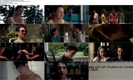 The Spectacular Now (2013)