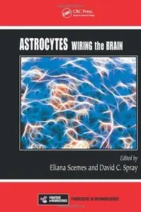 Astrocytes: Wiring the Brain