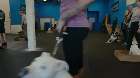Canine Intervention S01E01