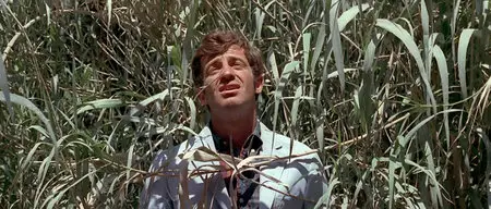 Pierrot le fou (1965)