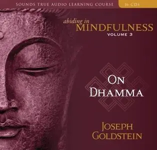 Abiding in Mindfulness, Vol. 3: On Dhamma