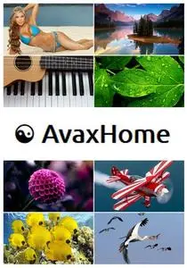 AvaxHome Wallpapers Part 39