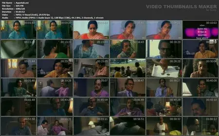 Agantuk (1991)