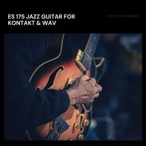 PastToFutureReverbs ES-175 Jazz Guitar for KONTAKT! KONTAKT WAV