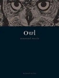 Owl (Animal)