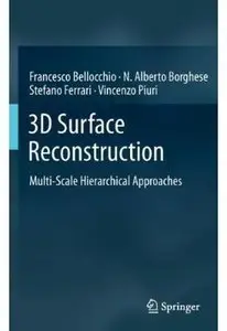 3D Surface Reconstruction: Multi-Scale Hierarchical Approaches [Repost]